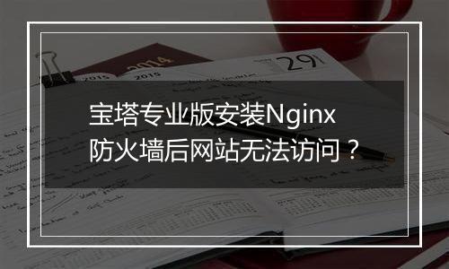 宝塔专业版安装Nginx防火墙后网站无法访问?