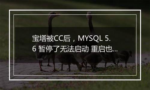 宝塔被CC后，MYSQL 5.6 暂停了无法启动 重启也不行