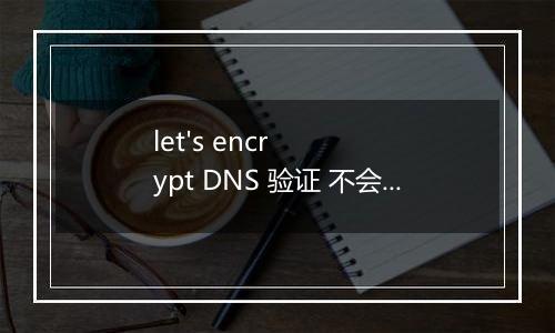 let's encrypt DNS 验证 不会添加txt信息