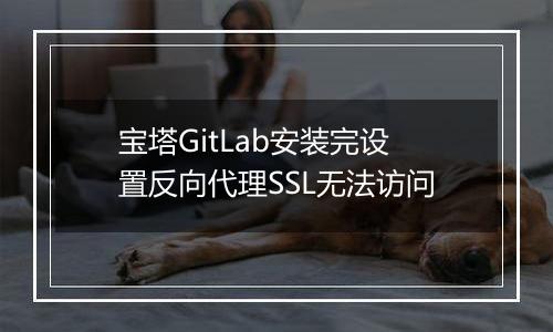 宝塔GitLab安装完设置反向代理SSL无法访问