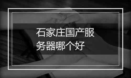 石家庄国产服务器哪个好