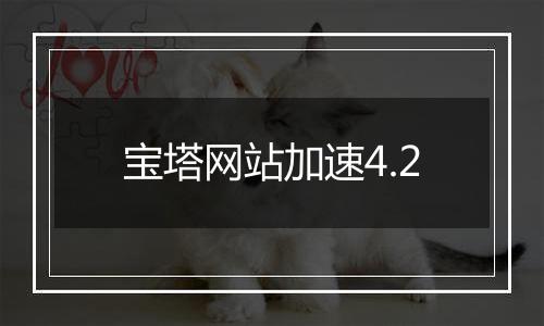 宝塔网站加速4.2