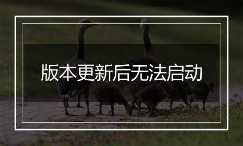 版本更新后无法启动