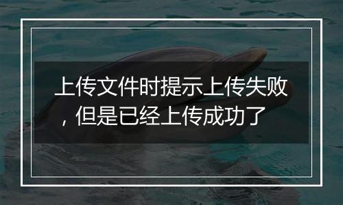 上传文件时提示上传失败，但是已经上传成功了