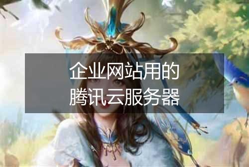 企业网站用的腾讯云服务器
