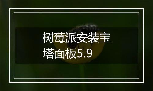树莓派安装宝塔面板5.9
