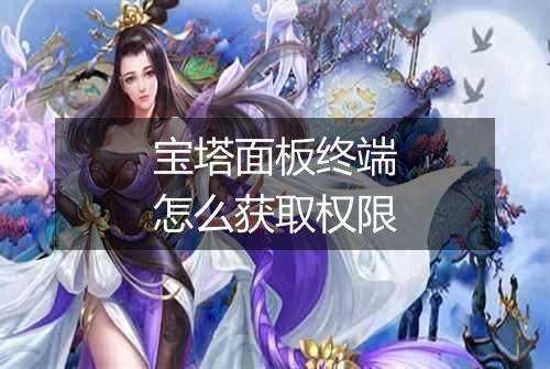 宝塔面板终端怎么获取权限