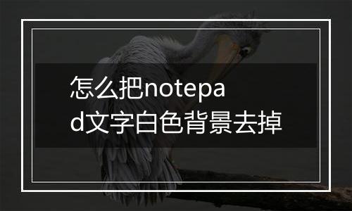 怎么把notepad文字白色背景去掉