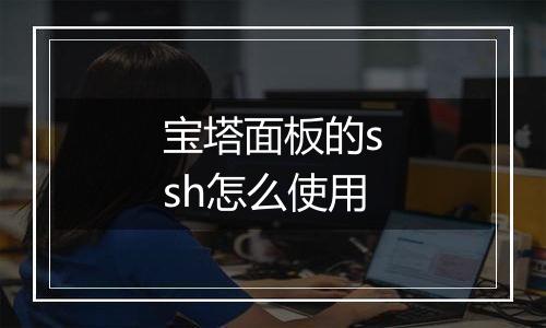 宝塔面板的ssh怎么使用