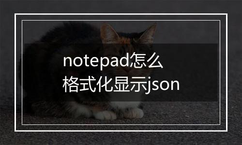 notepad怎么格式化显示json