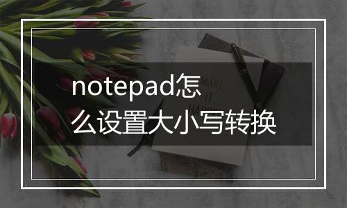 notepad怎么设置大小写转换