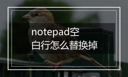 notepad空白行怎么替换掉