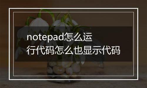 notepad怎么运行代码怎么也显示代码