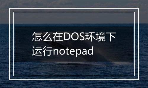 怎么在DOS环境下运行notepad