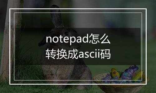 notepad怎么转换成ascii码