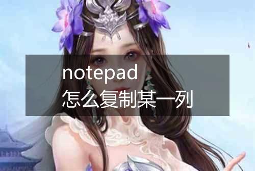 notepad怎么复制某一列