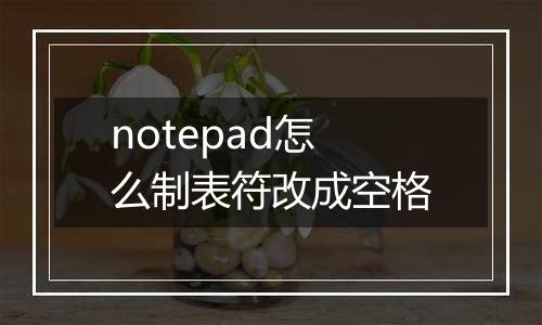 notepad怎么制表符改成空格