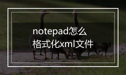 notepad怎么格式化xml文件