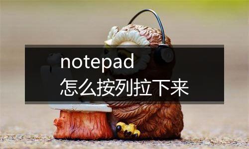 notepad怎么按列拉下来