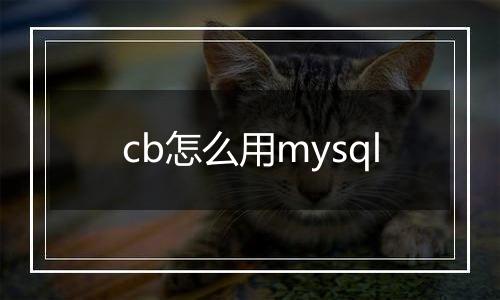 cb怎么用mysql