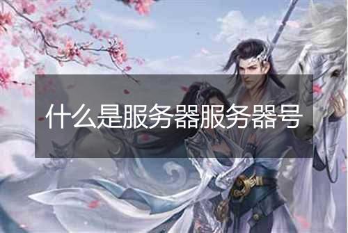 什么是服务器服务器号