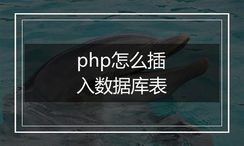 php怎么插入数据库表