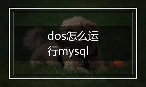 dos怎么运行mysql