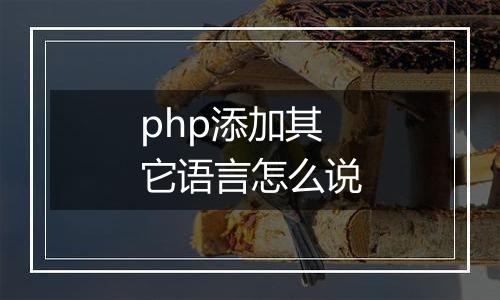 php添加其它语言怎么说
