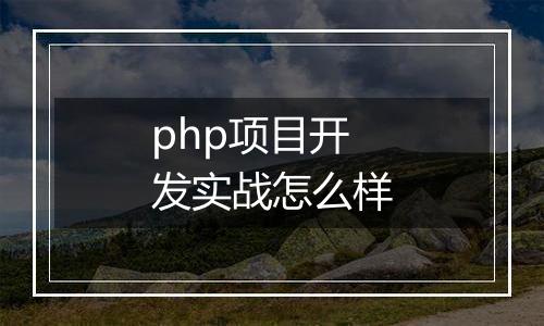 php项目开发实战怎么样