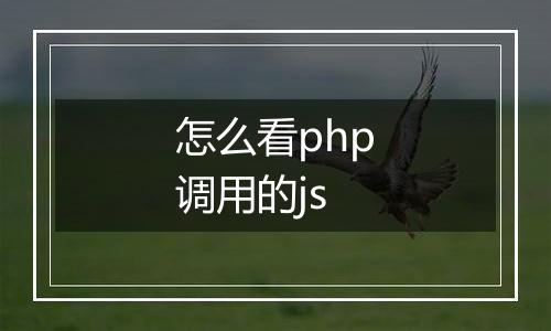 怎么看php调用的js