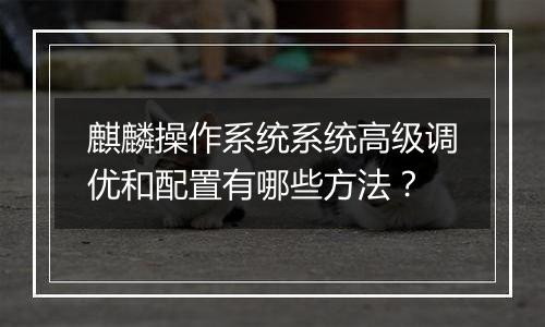 麒麟操作系统系统高级调优和配置有哪些方法?