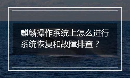 麒麟操作系统上怎么进行系统恢复和故障排查?
