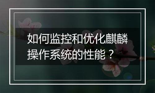 如何监控和优化麒麟操作系统的性能?
