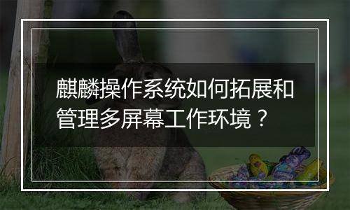 麒麟操作系统如何拓展和管理多屏幕工作环境?