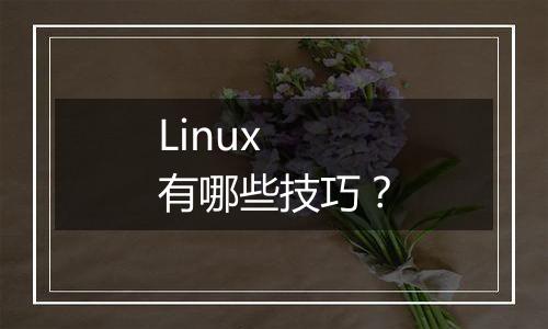 Linux 有哪些技巧?
