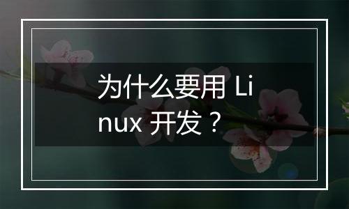 为什么要用 Linux 开发?