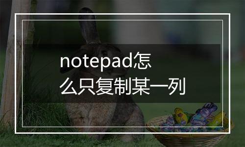 notepad怎么只复制某一列