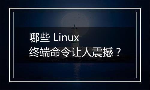 哪些 Linux 终端命令让人震撼？