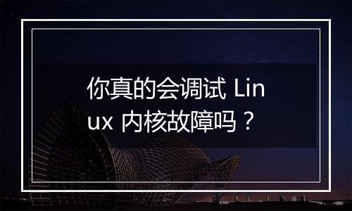 你真的会调试 Linux 内核故障吗?