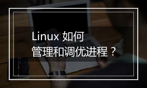Linux 如何管理和调优进程?