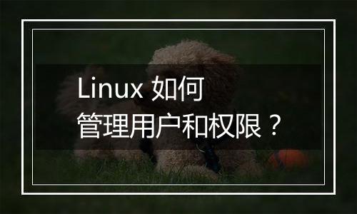 Linux 如何管理用户和权限?