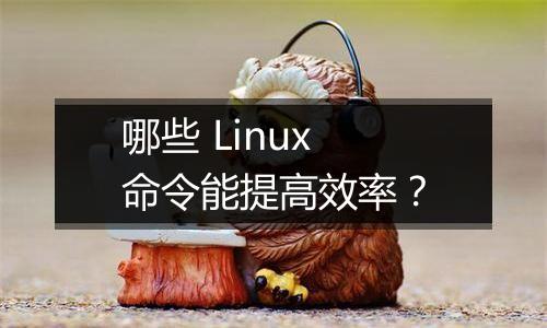 哪些 Linux 命令能提高效率?