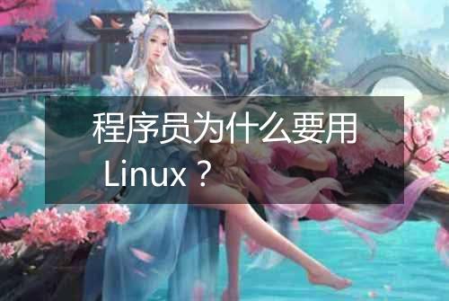 程序员为什么要用 Linux?