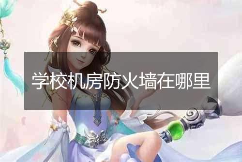 学校机房防火墙在哪里