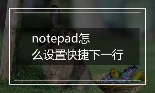 notepad怎么设置快捷下一行