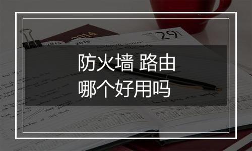 防火墙 路由哪个好用吗