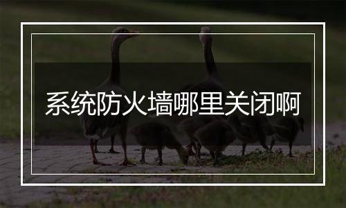 系统防火墙哪里关闭啊