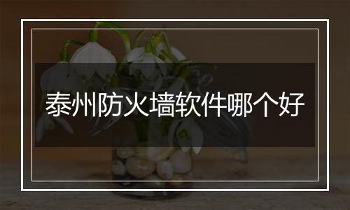 泰州防火墙软件哪个好