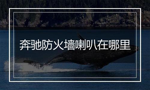 奔驰防火墙喇叭在哪里