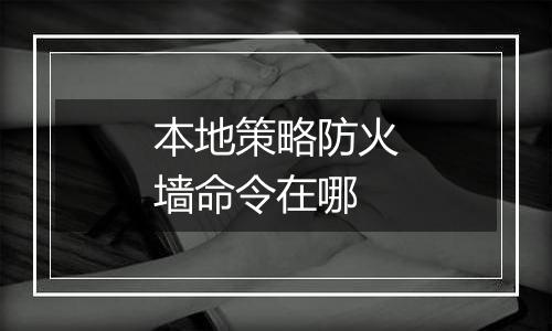 本地策略防火墙命令在哪